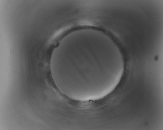 X0000113941303200910161905