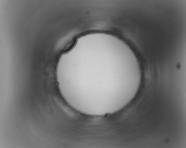 X0000113941304200910161905