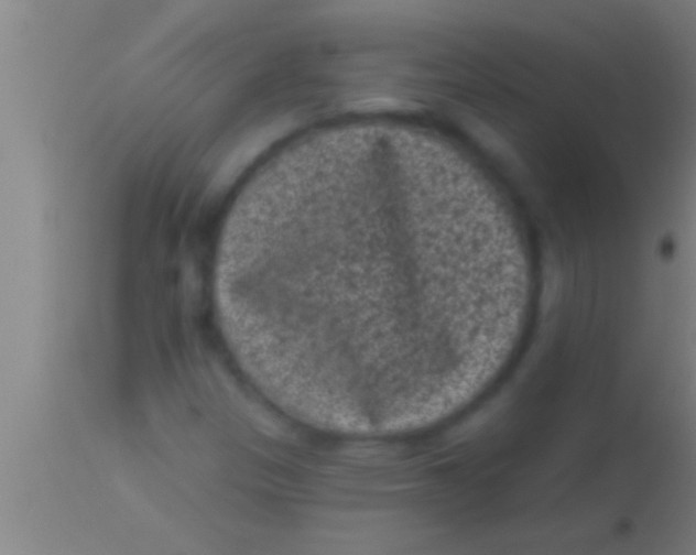 X0000113941305200910161905