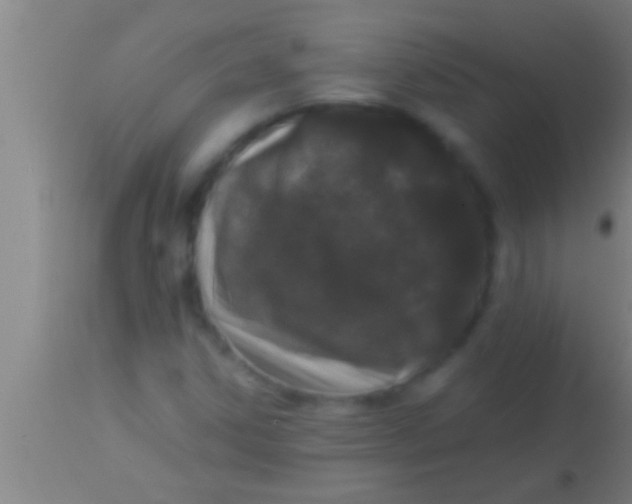 X0000113941306200910161905