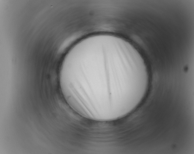 X0000113941307200910161906