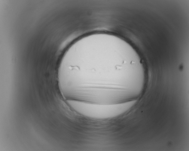 X0000113941308200910161906