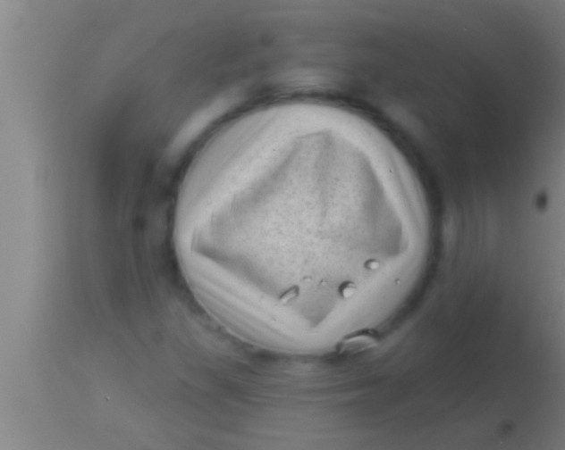 X0000113941309200910161906