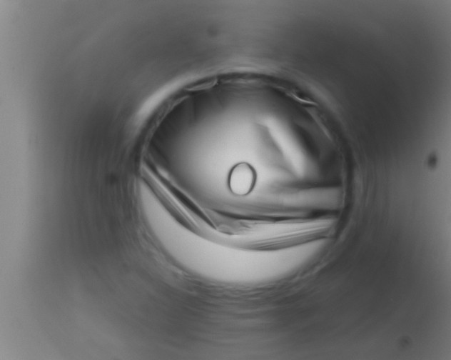 X0000113941310200910161906