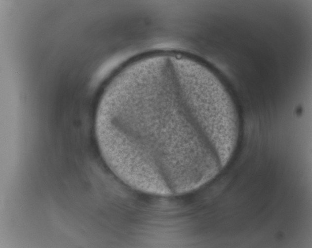 X0000113941311200910161906