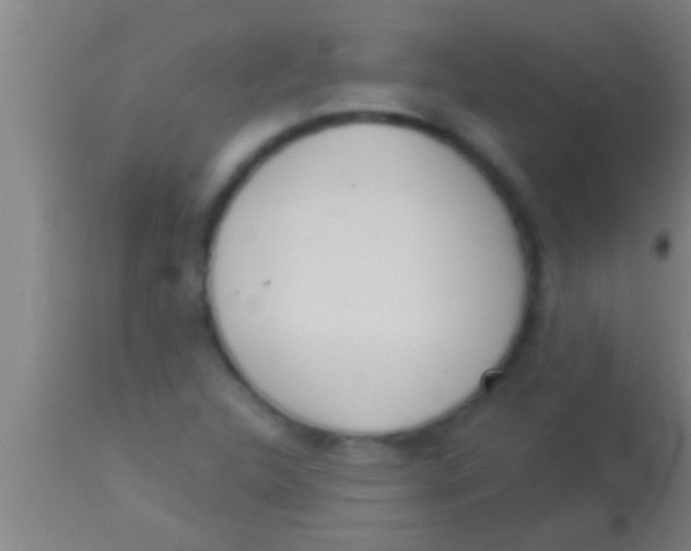 X0000113941312200910161906