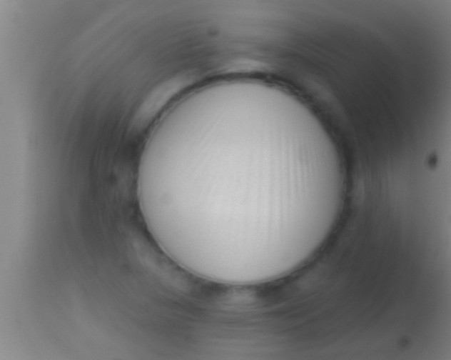 X0000113941313200910161906