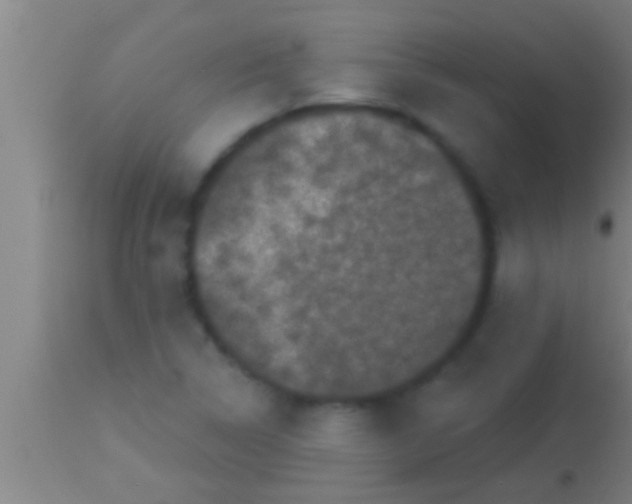 X0000113941314200910161906