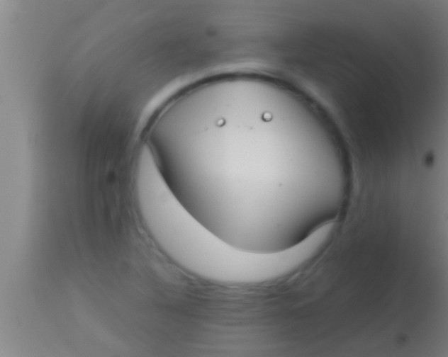 X0000113941316200910161906