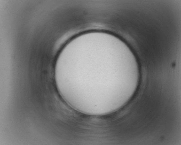 X0000113941318200910161906