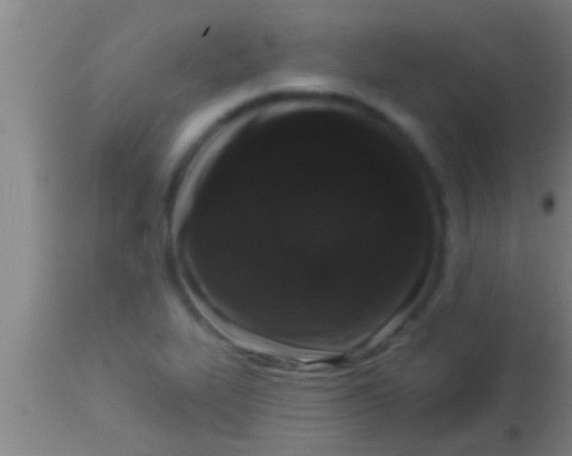 X0000113941319200910161906