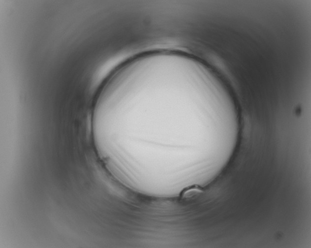 X0000113941320200910161906