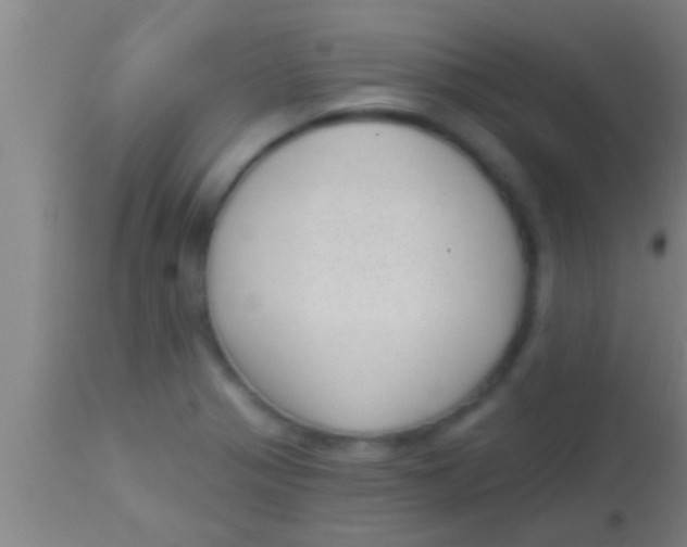 X0000113941321200910161906