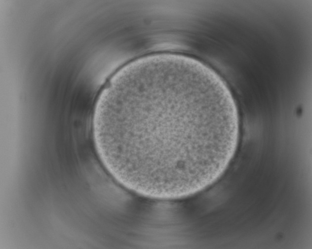 X0000113941322200910161906