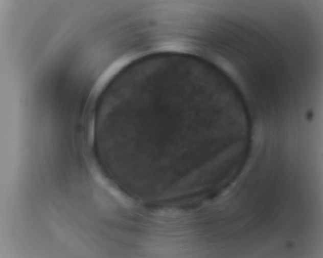 X0000113941323200910161906