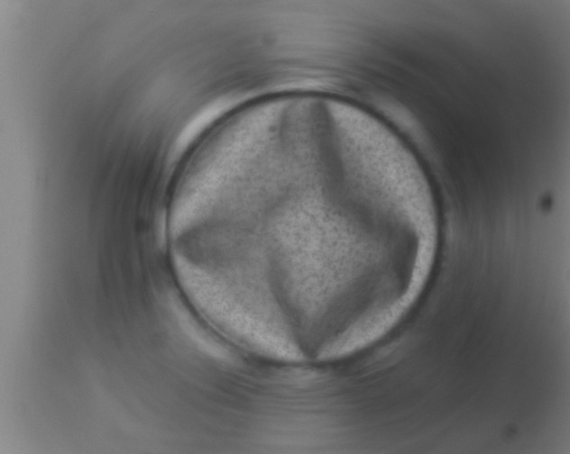 X0000113941324200910161906