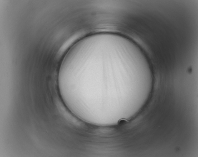 X0000113941325200910161906