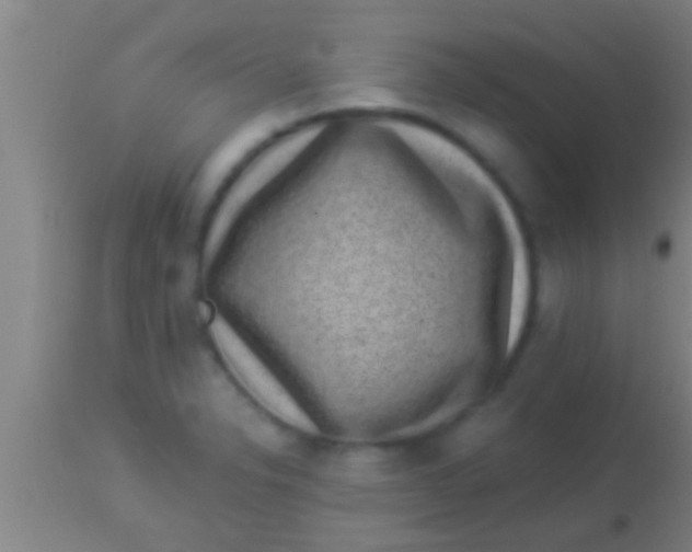 X0000113941326200910161906