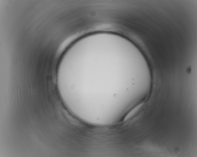 X0000113941328200910161906