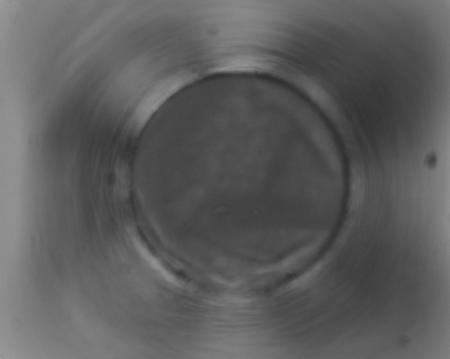 X0000113941329200910161906