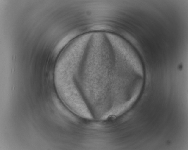 X0000113941330200910161906