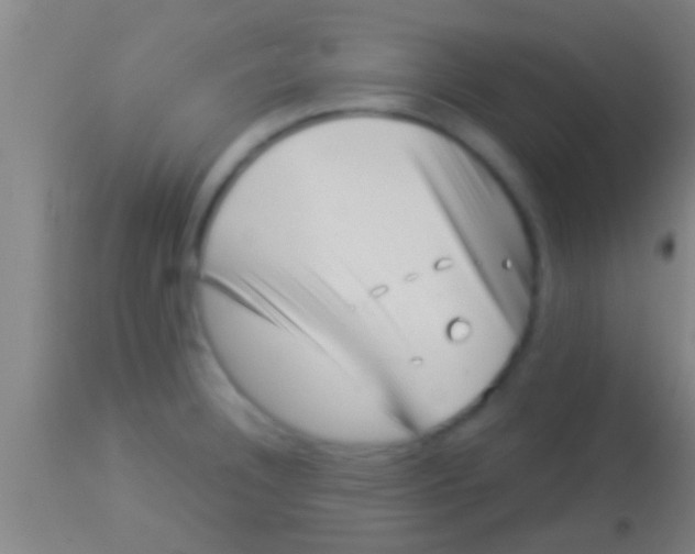 X0000113941332200910161906