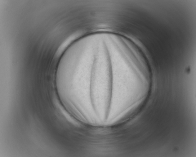 X0000113941333200910161906