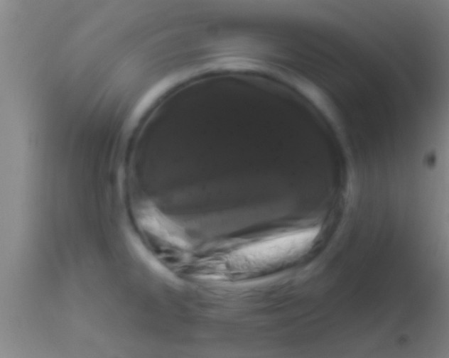 X0000113941334200910161906