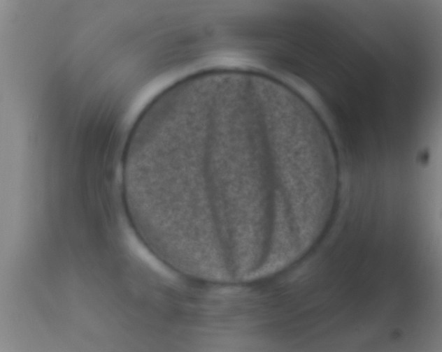 X0000113941335200910161906