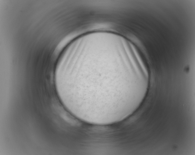 X0000113941336200910161906