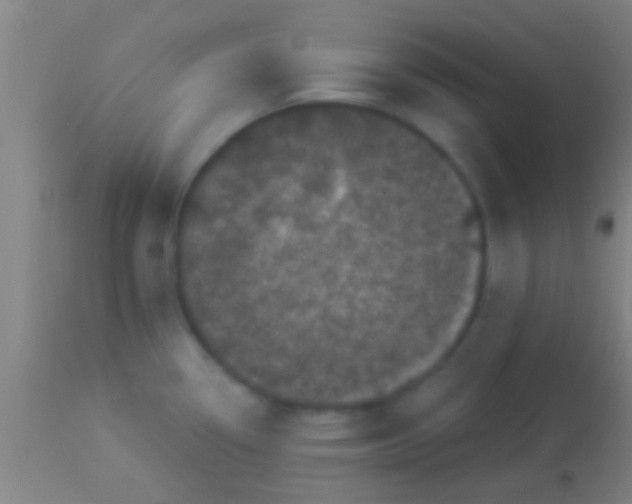 X0000113941338200910161906