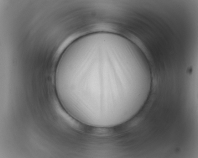 X0000113941339200910161906