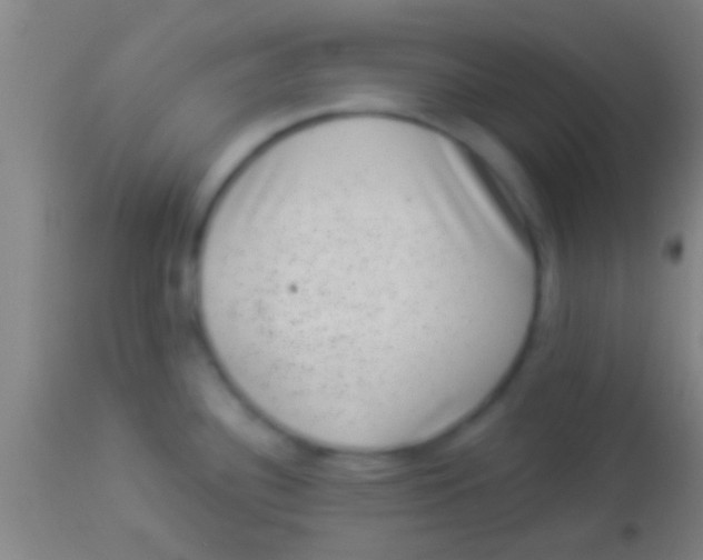 X0000113941340200910161906