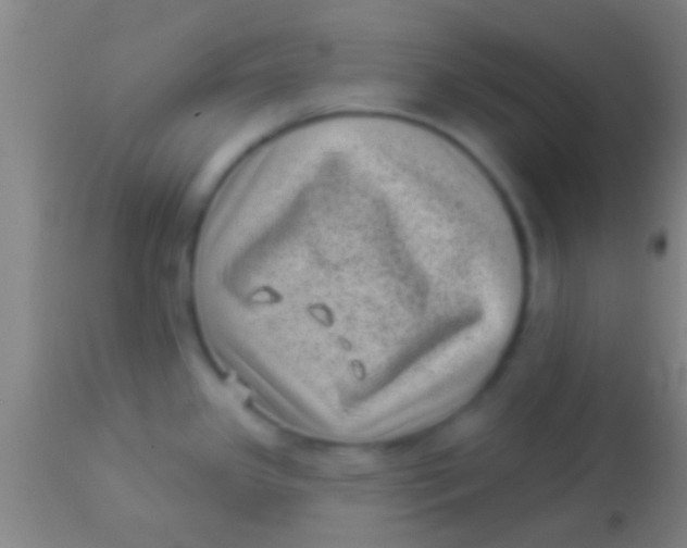 X0000113941341200910161906