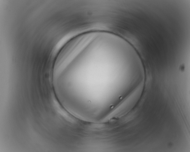 X0000113941342200910161906