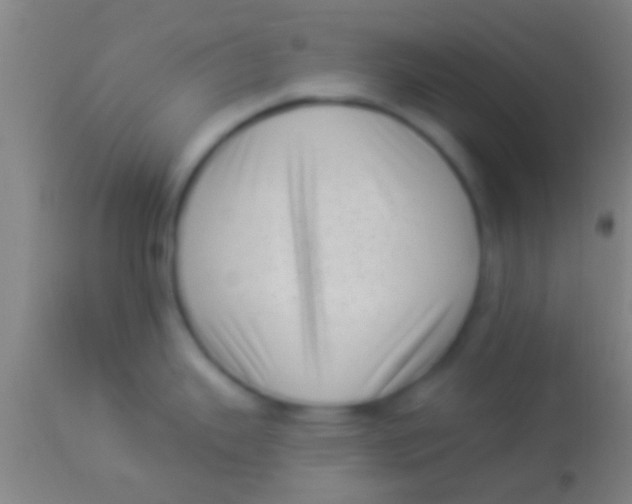 X0000113941343200910161906