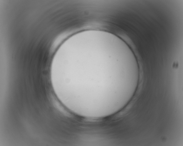 X0000113941344200910161906