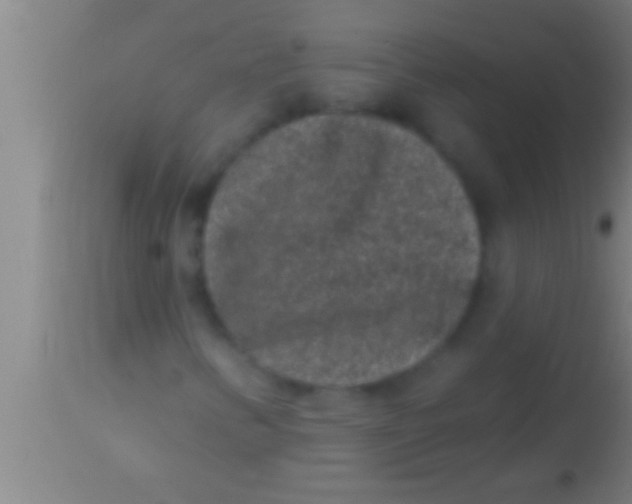 X0000113941346200910161905