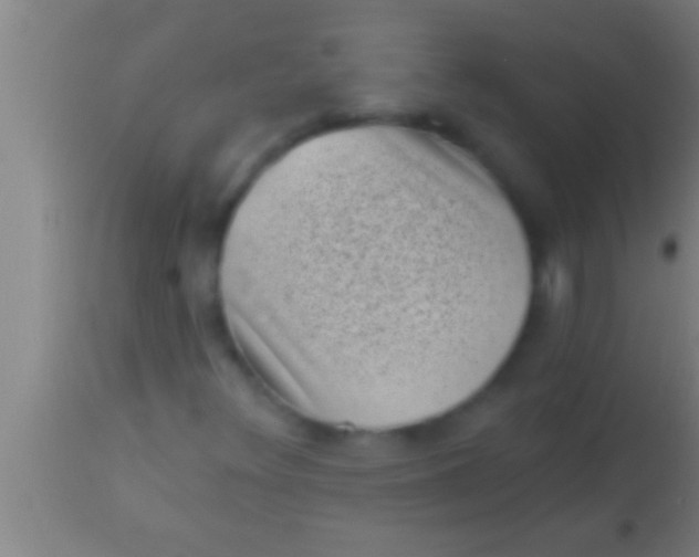 X0000113941348200910161905