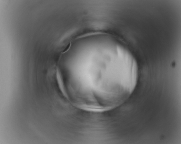 X0000113941349200910161905