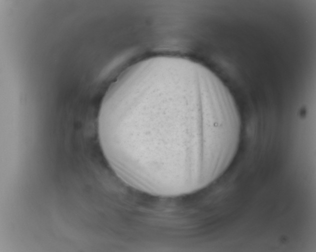 X0000113941350200910161905