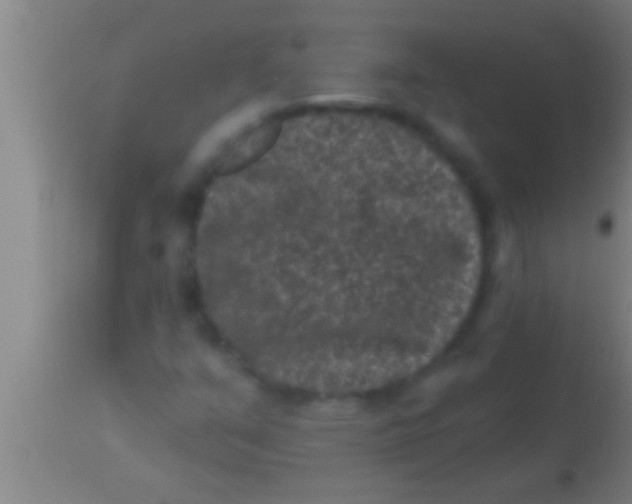 X0000113941351200910161905