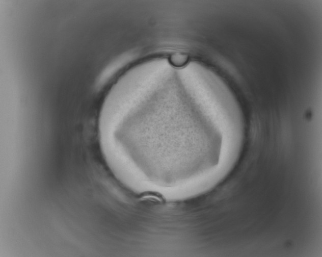 X0000113941352200910161905