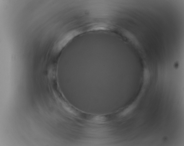 X0000113941353200910161905