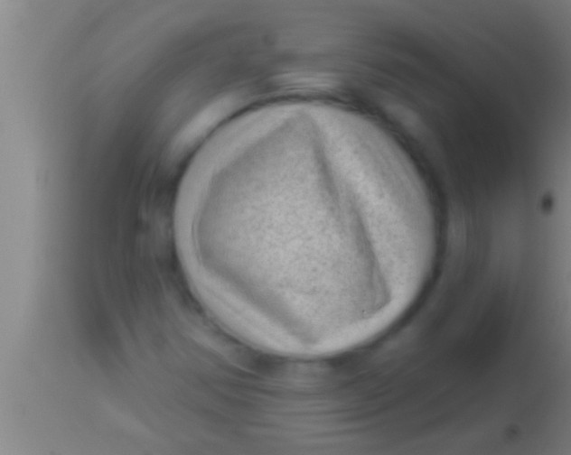 X0000113941354200910161905