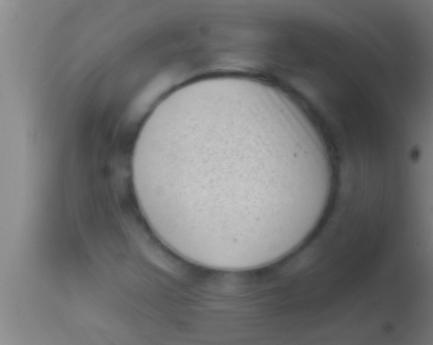 X0000113941355200910161905