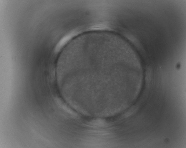 X0000113941358200910161905