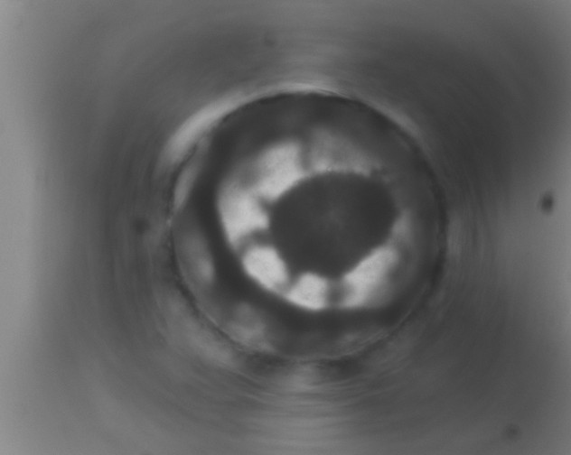 X0000113941359200910161905