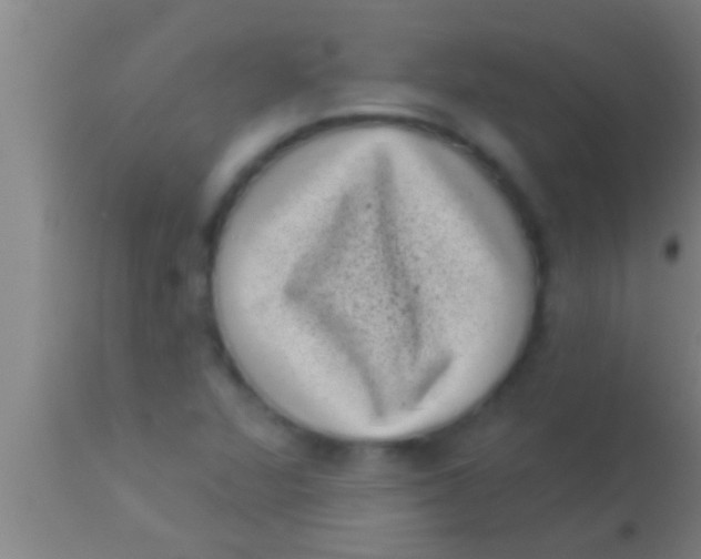 X0000113941360200910161905