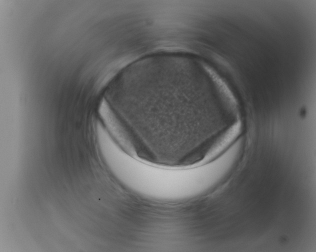 X0000113941361200910161905